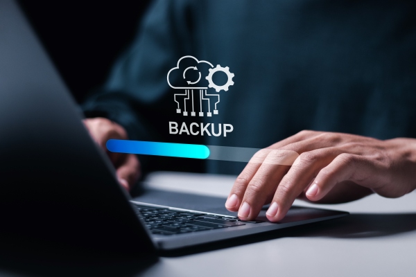 Critical Data Backup